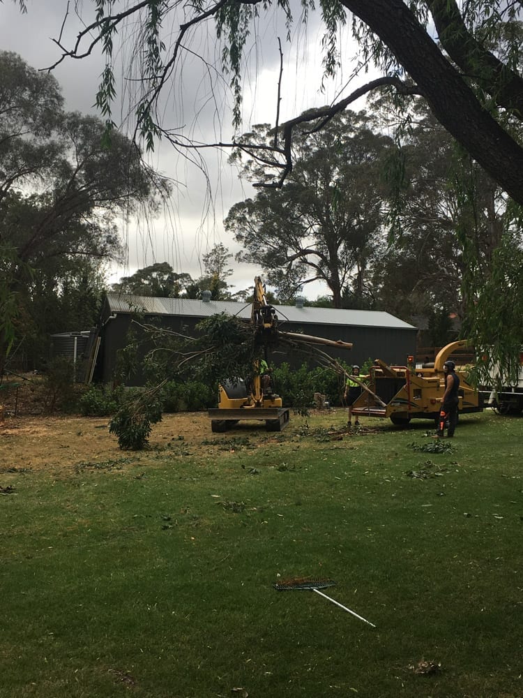 Chipper and machinery clearing a site